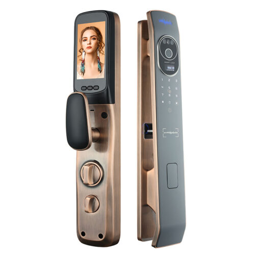 Face Scanner Door Lock