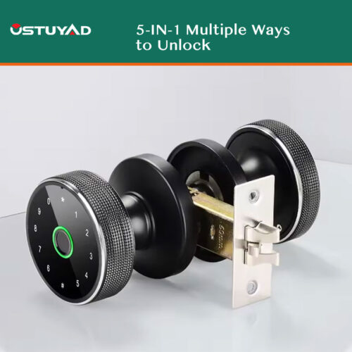 Smart Knob Lock