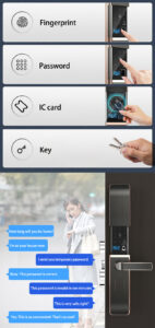 3 in 1 Smart Lock